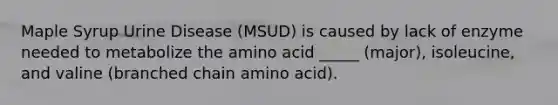 Maple Syrup Urine Disease (MSUD) is caused by lack of enzyme needed to metabolize the amino acid _____ (major), isoleucine, and valine (branched chain amino acid).