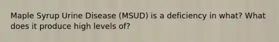 Maple Syrup Urine Disease (MSUD) is a deficiency in what? What does it produce high levels of?