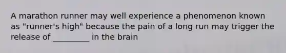 A marathon runner may well experience a phenomenon known as "runner's high" because the pain of a long run may trigger the release of _________ in the brain