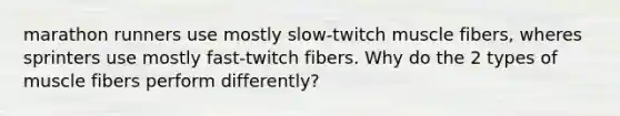 marathon runners use mostly slow-twitch muscle fibers, wheres sprinters use mostly fast-twitch fibers. Why do the 2 types of muscle fibers perform differently?