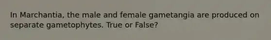 In Marchantia, the male and female gametangia are produced on separate gametophytes. True or False?