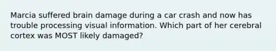 Marcia suffered brain damage during a car crash and now has trouble processing visual information. Which part of her cerebral cortex was MOST likely damaged?
