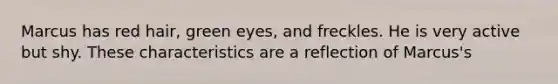 Marcus has red hair, green eyes, and freckles. He is very active but shy. These characteristics are a reflection of Marcus's