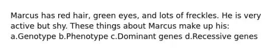 Marcus has red hair, green eyes, and lots of freckles. He is very active but shy. These things about Marcus make up his: a.Genotype b.Phenotype c.Dominant genes d.Recessive genes