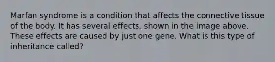 Marfan syndrome is a condition that affects the connective tissue of the body. It has several effects, shown in the image above. These effects are caused by just one gene. What is this type of inheritance called?