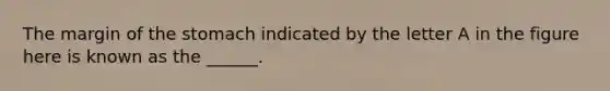 The margin of the stomach indicated by the letter A in the figure here is known as the ______.
