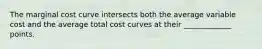 The marginal cost curve intersects both the average variable cost and the average total cost curves at their _____________ points.