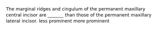 The marginal ridges and cingulum of the permanent maxillary central incisor are _______ than those of the permanent maxillary lateral incisor. less prominent more prominent