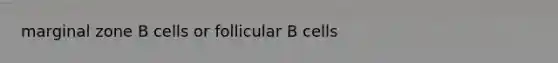 marginal zone B cells or follicular B cells