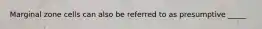 Marginal zone cells can also be referred to as presumptive _____
