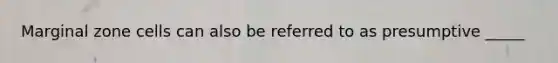 Marginal zone cells can also be referred to as presumptive _____