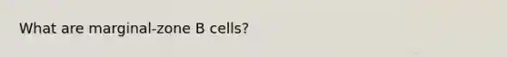 What are marginal-zone B cells?