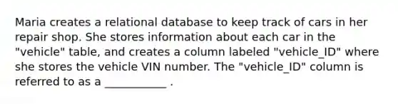 Maria creates a relational database to keep track of cars in her repair shop. She stores information about each car in the "vehicle" table, and creates a column labeled "vehicle_ID" where she stores the vehicle VIN number. The "vehicle_ID" column is referred to as a ___________ .