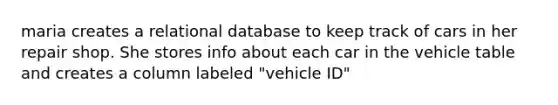 maria creates a relational database to keep track of cars in her repair shop. She stores info about each car in the vehicle table and creates a column labeled "vehicle ID"