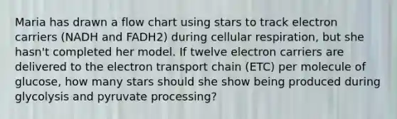 Maria has drawn a flow chart using stars to track electron carriers (NADH and FADH2) during cellular respiration, but she hasn't completed her model. If twelve electron carriers are delivered to the electron transport chain (ETC) per molecule of glucose, how many stars should she show being produced during glycolysis and pyruvate processing?