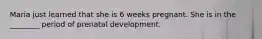 Maria just learned that she is 6 weeks pregnant. She is in the ________ period of prenatal development.