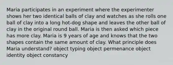 Maria participates in an experiment where the experimenter shows her two identical balls of clay and watches as she rolls one ball of clay into a long hot-dog shape and leaves the other ball of clay in the original round ball. Maria is then asked which piece has more clay. Maria is 9 years of age and knows that the two shapes contain the same amount of clay. What principle does Maria understand? object typing object permenance object identity object constancy