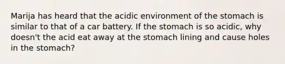 Marija has heard that the acidic environment of the stomach is similar to that of a car battery. If the stomach is so acidic, why doesn't the acid eat away at the stomach lining and cause holes in the stomach?