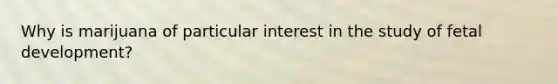 Why is marijuana of particular interest in the study of fetal development?