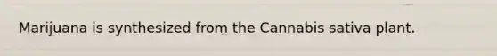 Marijuana is synthesized from the Cannabis sativa plant.