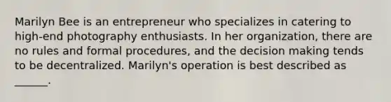 Marilyn Bee is an entrepreneur who specializes in catering to high-end photography enthusiasts. In her organization, there are no rules and formal procedures, and the decision making tends to be decentralized. Marilyn's operation is best described as ______.