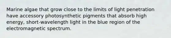 Marine algae that grow close to the limits of light penetration have accessory photosynthetic pigments that absorb high energy, short-wavelength light in the blue region of the electromagnetic spectrum.