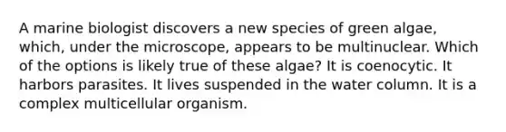 A marine biologist discovers a new species of green algae, which, under the microscope, appears to be multinuclear. Which of the options is likely true of these algae? It is coenocytic. It harbors parasites. It lives suspended in the water column. It is a complex multicellular organism.