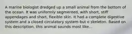 A marine biologist dredged up a small animal from the bottom of the ocean. It was uniformly segmented, with short, stiff appendages and short, flexible skin. It had a complete digestive system and a closed circulatory system but o skeleton. Based on this description, this animal sounds most like...