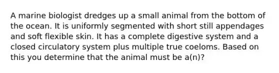 A marine biologist dredges up a small animal from the bottom of the ocean. It is uniformly segmented with short still appendages and soft flexible skin. It has a complete digestive system and a closed circulatory system plus multiple true coeloms. Based on this you determine that the animal must be a(n)?