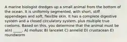 A marine biologist dredges up a small animal from the bottom of the ocean. It is uniformly segmented, with short, stiff appendages and soft, flexible skin. It has a complete digestive system and a closed circulatory system, plus multiple true coeloms. Based on this, you determine that the animal must be a(n) _____. A) mollusc B) lancelet C) annelid D) crustacean E) roundworm