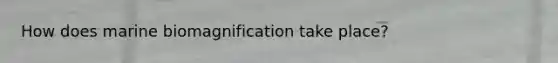 How does marine biomagnification take place?