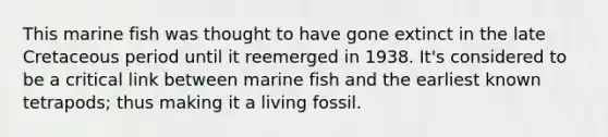 This marine fish was thought to have gone extinct in the late Cretaceous period until it reemerged in 1938. It's considered to be a critical link between marine fish and the earliest known tetrapods; thus making it a living fossil.