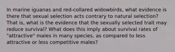 In marine iguanas and red-collared widowbirds, what evidence is there that sexual selection acts contrary to natural selection? That is, what is the evidence that the sexually selected trait may reduce survival? What does this imply about survival rates of "attractive" males in many species, as compared to less attractive or less competitive males?