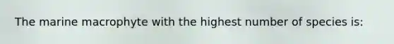 The marine macrophyte with the highest number of species is: