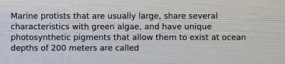 Marine protists that are usually large, share several characteristics with green algae, and have unique photosynthetic pigments that allow them to exist at ocean depths of 200 meters are called