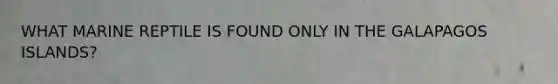 WHAT MARINE REPTILE IS FOUND ONLY IN THE GALAPAGOS ISLANDS?