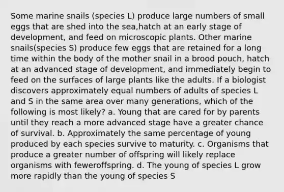 Some marine snails (species L) produce large numbers of small eggs that are shed into the sea,hatch at an early stage of development, and feed on microscopic plants. Other marine snails(species S) produce few eggs that are retained for a long time within the body of the mother snail in a brood pouch, hatch at an advanced stage of development, and immediately begin to feed on the surfaces of large plants like the adults. If a biologist discovers approximately equal numbers of adults of species L and S in the same area over many generations, which of the following is most likely? a. Young that are cared for by parents until they reach a more advanced stage have a greater chance of survival. b. Approximately the same percentage of young produced by each species survive to maturity. c. Organisms that produce a greater number of offspring will likely replace organisms with feweroffspring. d. The young of species L grow more rapidly than the young of species S