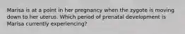 Marisa is at a point in her pregnancy when the zygote is moving down to her uterus. Which period of prenatal development is Marisa currently experiencing?