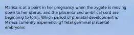 Marisa is at a point in her pregnancy when the zygote is moving down to her uterus, and the placenta and umbilical cord are beginning to form. Which period of prenatal development is Marisa currently experiencing? fetal germinal placental embryonic