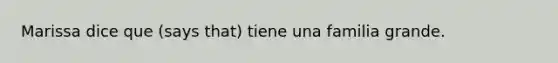 Marissa dice que (says that) tiene una familia grande.