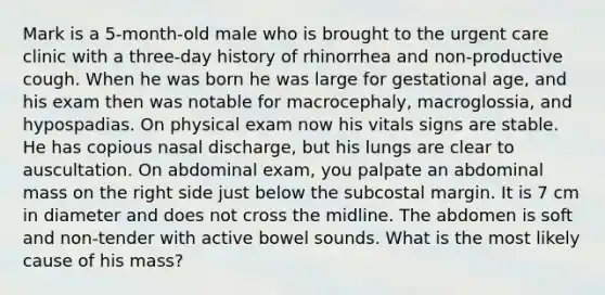 Mark is a 5-month-old male who is brought to the urgent care clinic with a three-day history of rhinorrhea and non-productive cough. When he was born he was large for gestational age, and his exam then was notable for macrocephaly, macroglossia, and hypospadias. On physical exam now his vitals signs are stable. He has copious nasal discharge, but his lungs are clear to auscultation. On abdominal exam, you palpate an abdominal mass on the right side just below the subcostal margin. It is 7 cm in diameter and does not cross the midline. The abdomen is soft and non-tender with active bowel sounds. What is the most likely cause of his mass?