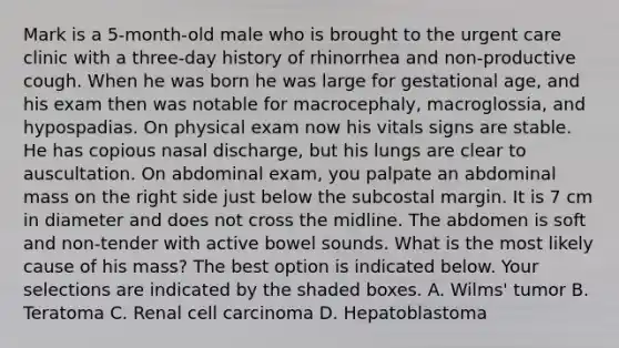 Mark is a 5-month-old male who is brought to the urgent care clinic with a three-day history of rhinorrhea and non-productive cough. When he was born he was large for gestational age, and his exam then was notable for macrocephaly, macroglossia, and hypospadias. On physical exam now his vitals signs are stable. He has copious nasal discharge, but his lungs are clear to auscultation. On abdominal exam, you palpate an abdominal mass on the right side just below the subcostal margin. It is 7 cm in diameter and does not cross the midline. The abdomen is soft and non-tender with active bowel sounds. What is the most likely cause of his mass? The best option is indicated below. Your selections are indicated by the shaded boxes. A. Wilms' tumor B. Teratoma C. Renal cell carcinoma D. Hepatoblastoma
