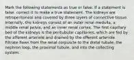 Mark the following statements as true or false. If a statement is false, correct it to make a true statement. The kidneys are retroperitoneal and covered by three layers of connective tissue. Internally, the kidneys consist of an outer renal medulla, a middle renal pelvis, and an inner renal cortex. The first capillary bed of the kidneys is the peritubular capillaries, which are fed by the afferent arteriole and drained by the efferent arteriole. Filtrate flows from the renal corpuscle to the distal tubule, the nephron loop, the proximal tubule, and into the collecting system.