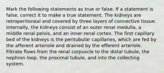 Mark the following statements as true or false. If a statement is false, correct it to make a true statement. The kidneys are retroperitoneal and covered by three layers of <a href='https://www.questionai.com/knowledge/kYDr0DHyc8-connective-tissue' class='anchor-knowledge'>connective tissue</a>. Internally, the kidneys consist of an outer renal medulla, a middle renal pelvis, and an inner renal cortex. The first capillary bed of the kidneys is the peritubular capillaries, which are fed by the afferent arteriole and drained by the efferent arteriole. Filtrate flows from the renal corpuscle to the distal tubule, the nephron loop, the proximal tubule, and into the collecting system.