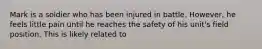 Mark is a soldier who has been injured in battle. However, he feels little pain until he reaches the safety of his unit's field position. This is likely related to