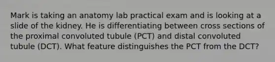 Mark is taking an anatomy lab practical exam and is looking at a slide of the kidney. He is differentiating between cross sections of the proximal convoluted tubule (PCT) and distal convoluted tubule (DCT). What feature distinguishes the PCT from the DCT?