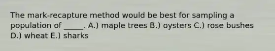 The mark-recapture method would be best for sampling a population of _____. A.) maple trees B.) oysters C.) rose bushes D.) wheat E.) sharks