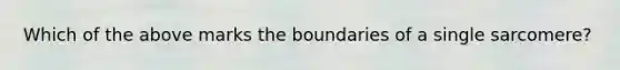 Which of the above marks the boundaries of a single sarcomere?