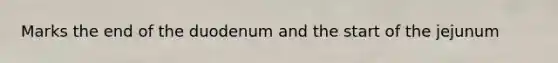 Marks the end of the duodenum and the start of the jejunum