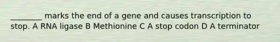 ________ marks the end of a gene and causes transcription to stop. A RNA ligase B Methionine C A stop codon D A terminator